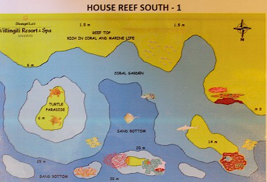Villingili House Reef South
